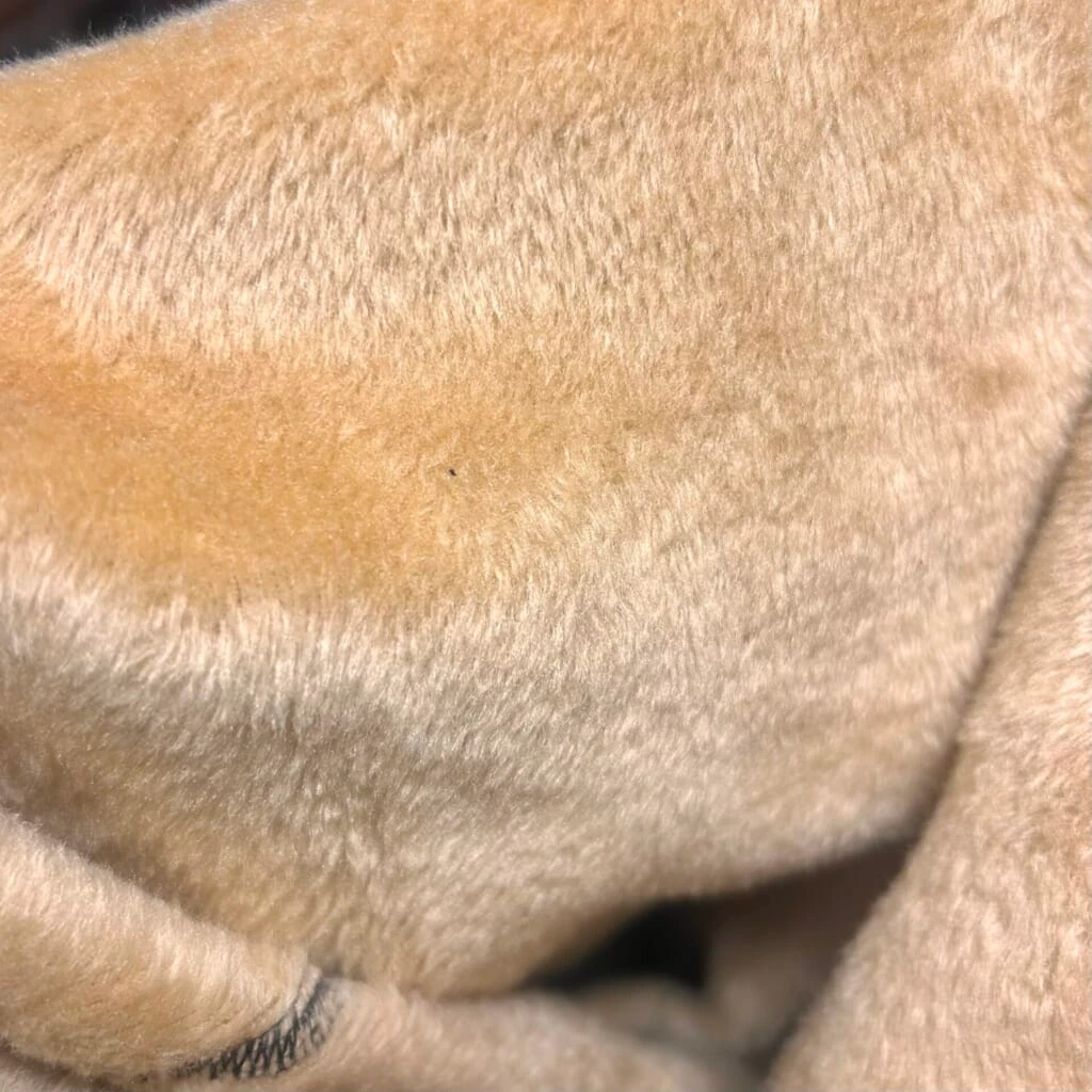 裏起毛
