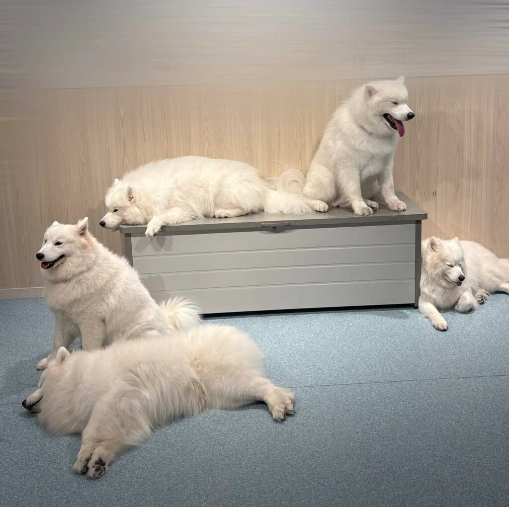 集合写真