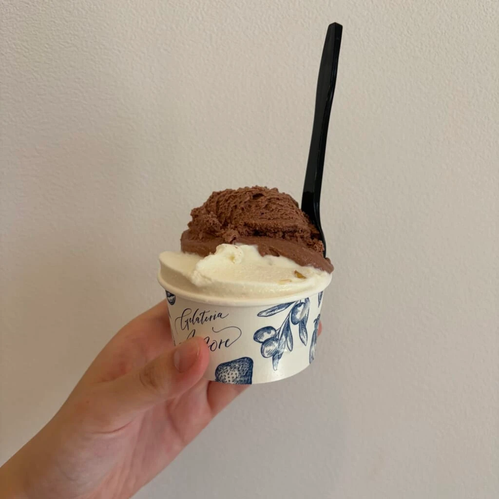 カップに入ったチョコレートとハチミツのダブルジェラート