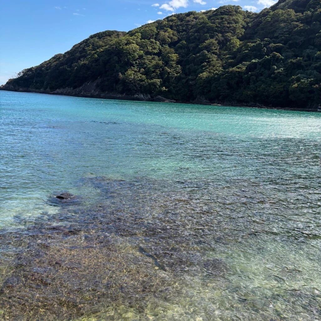 透き通った下田の綺麗な海と波打ち際