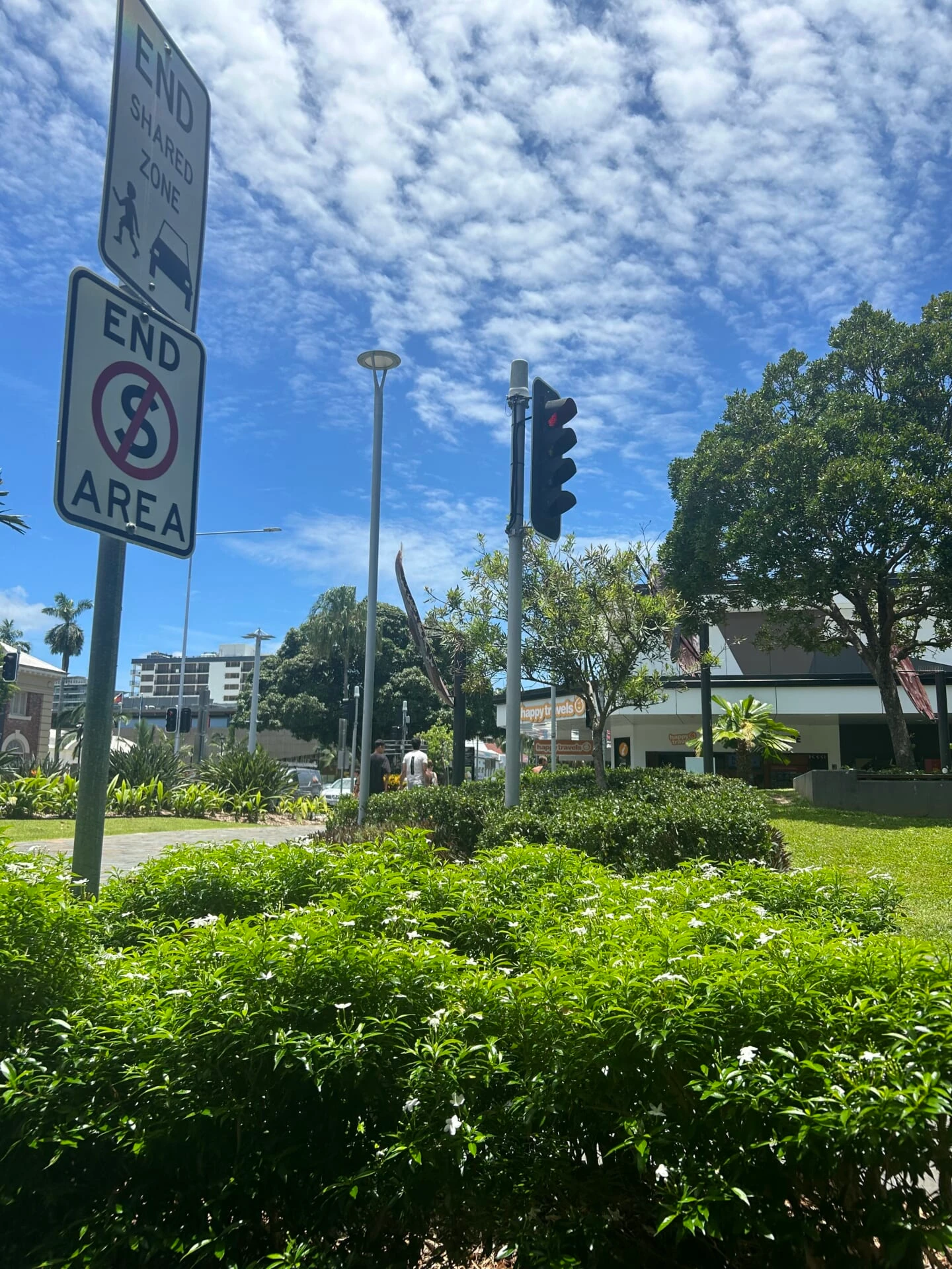 植物と道路がすぐそばにある。