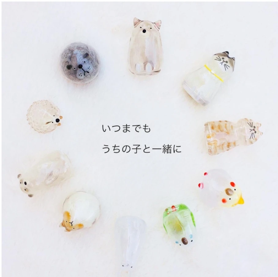 引用公式写真