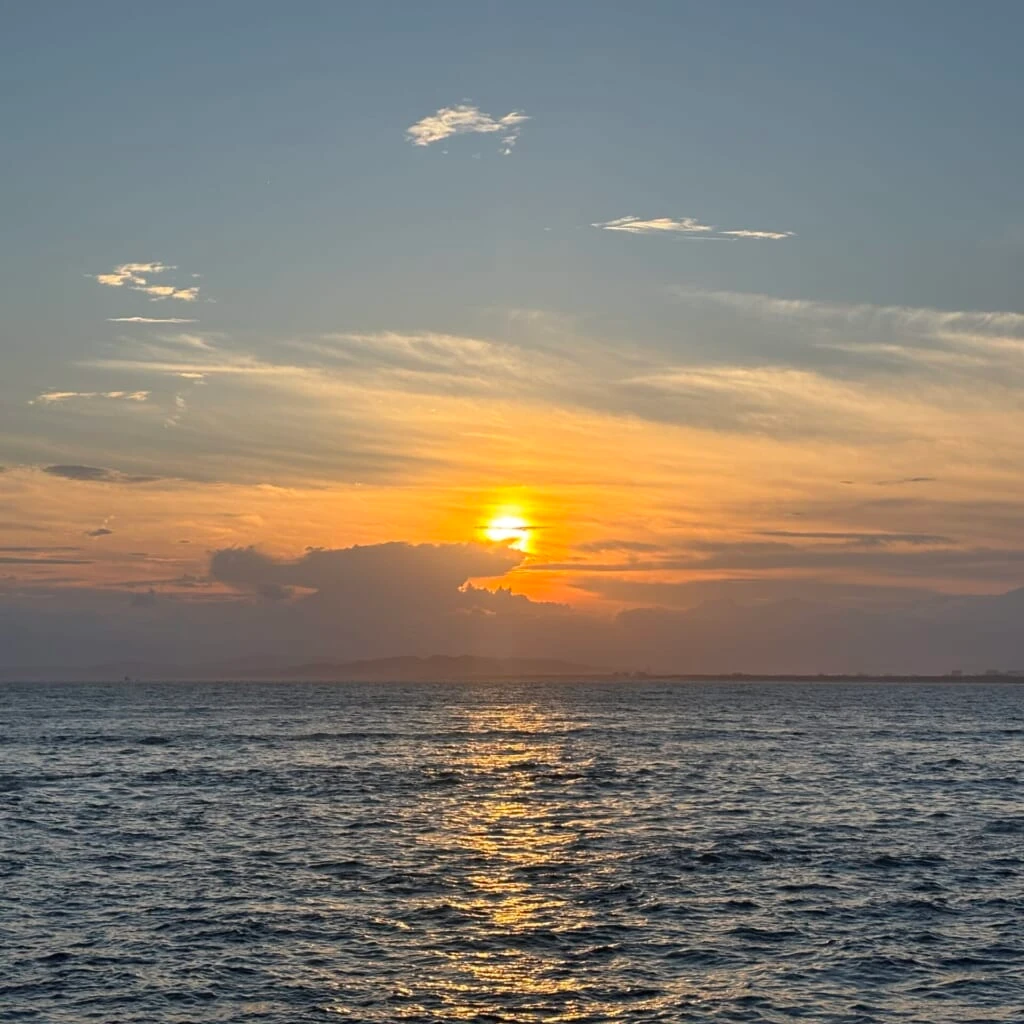 海