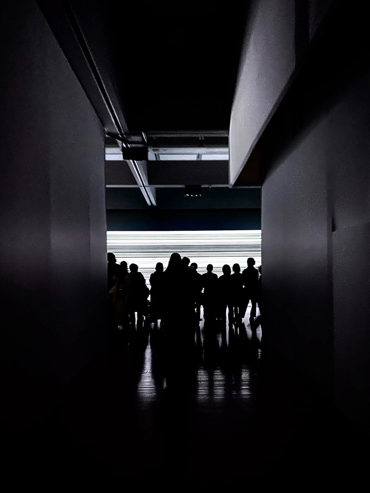 坂本龍一+高谷史郎《async–immersion tokyo》2024