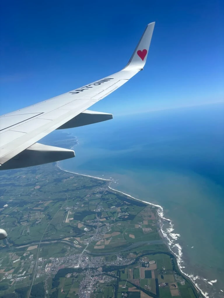 上空から見下ろした海岸線と農地