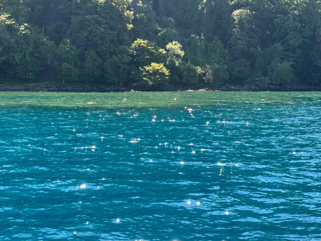 光を受けて輝く湖面と対岸の森