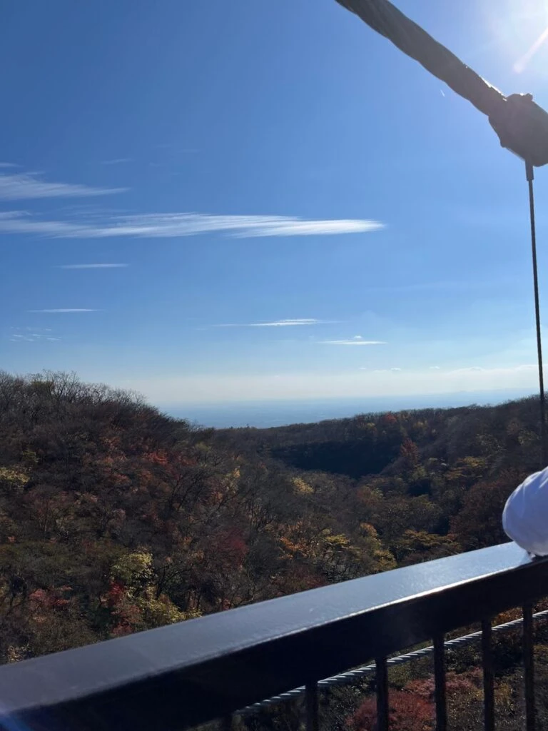 那須 つつじ吊橋 紅葉