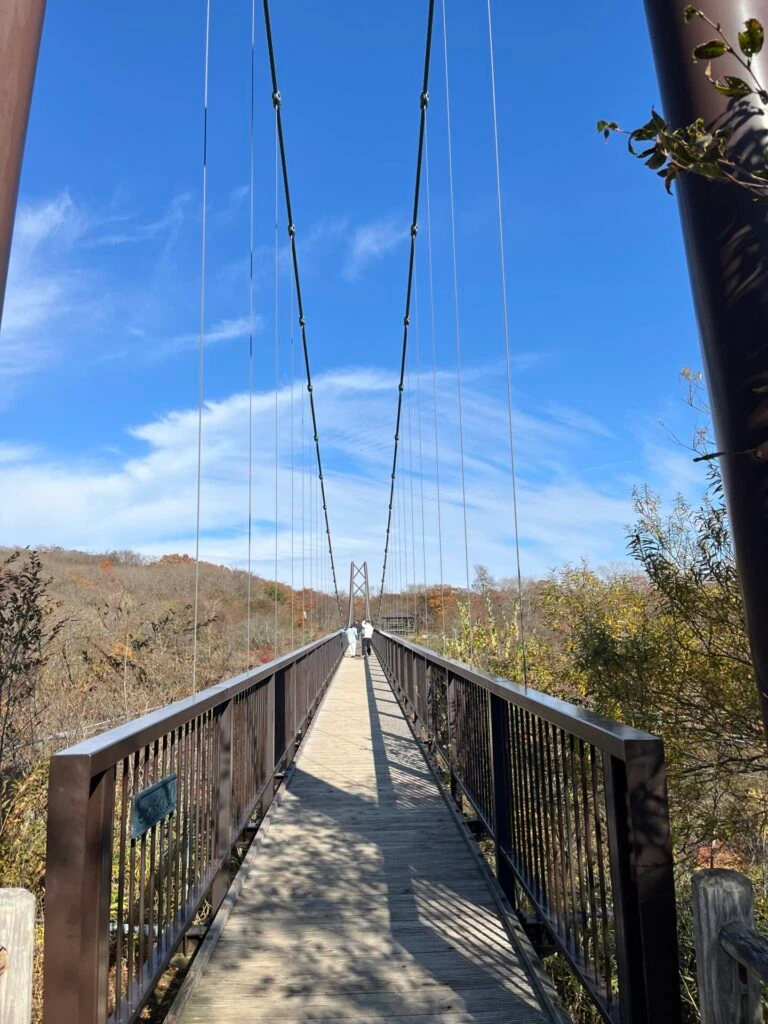 那須 つつじ吊橋 紅葉