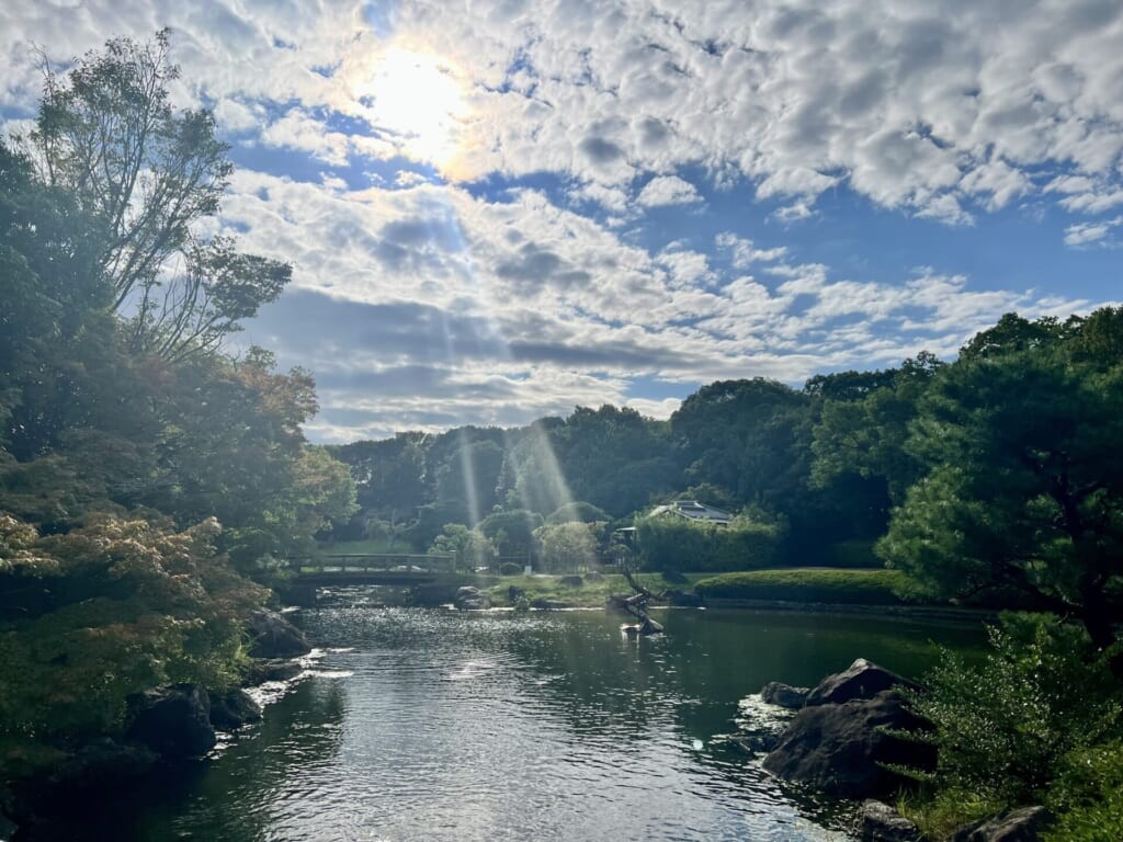 白鳥庭園2