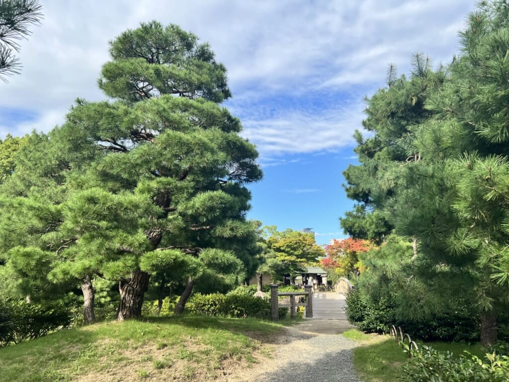 白鳥庭園5