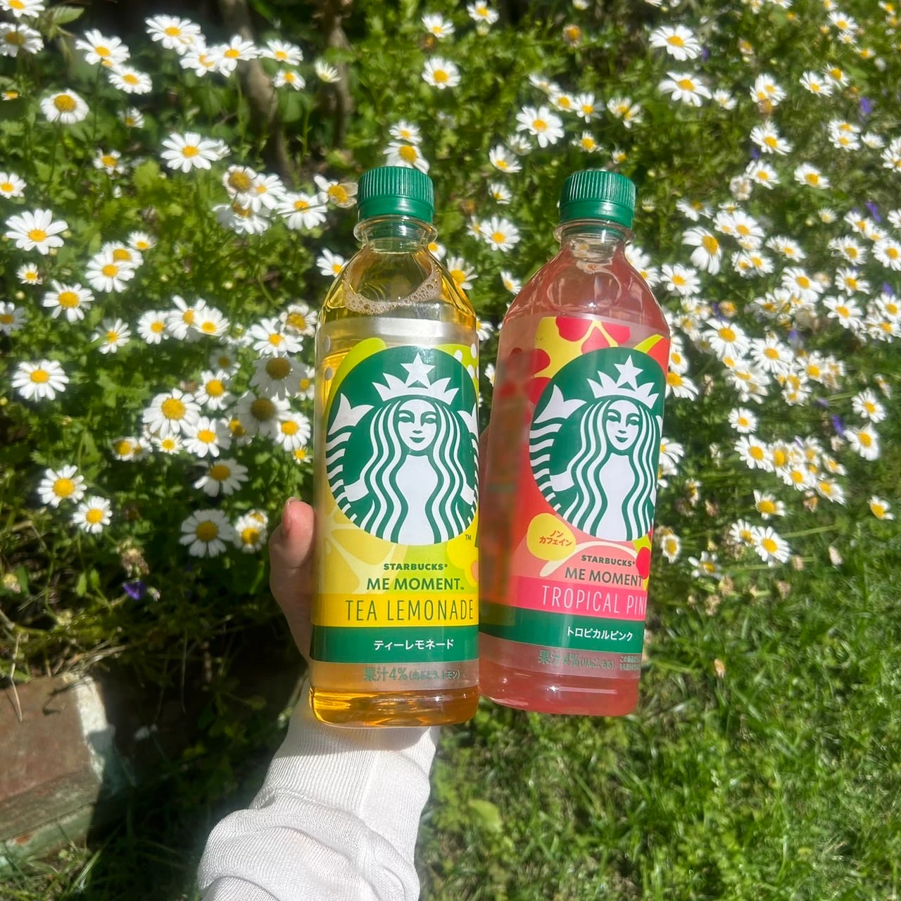 スターバックス® ME MOMENT™ ティーレモネードと・スターバックス® ME MOMENT™ トロピカルピンク™とお花写真