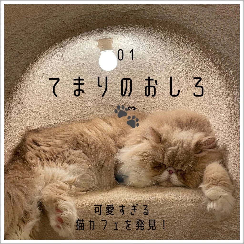 アイキャッチ