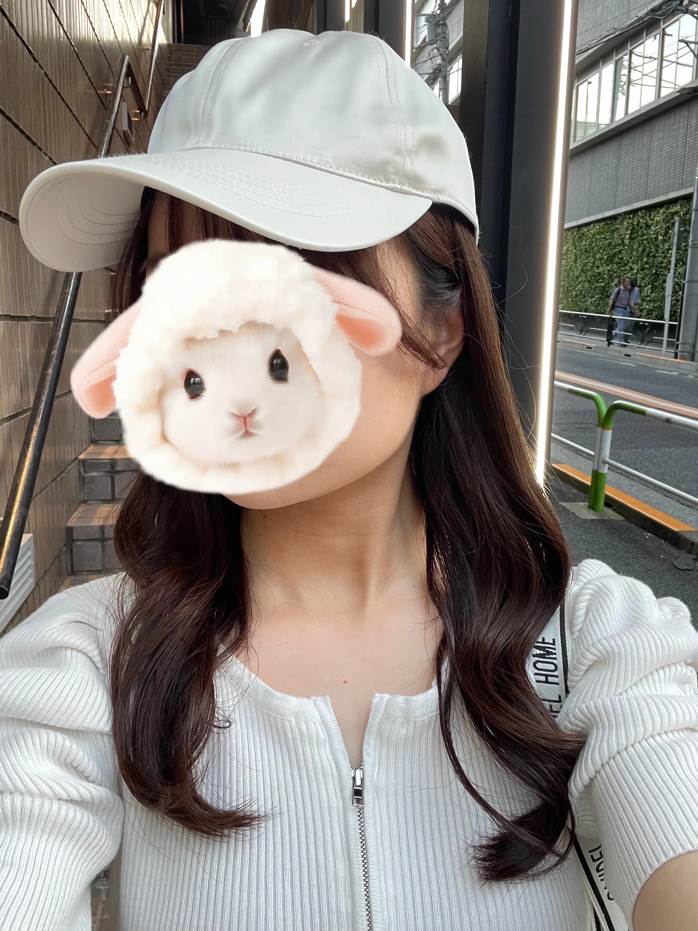 帽子