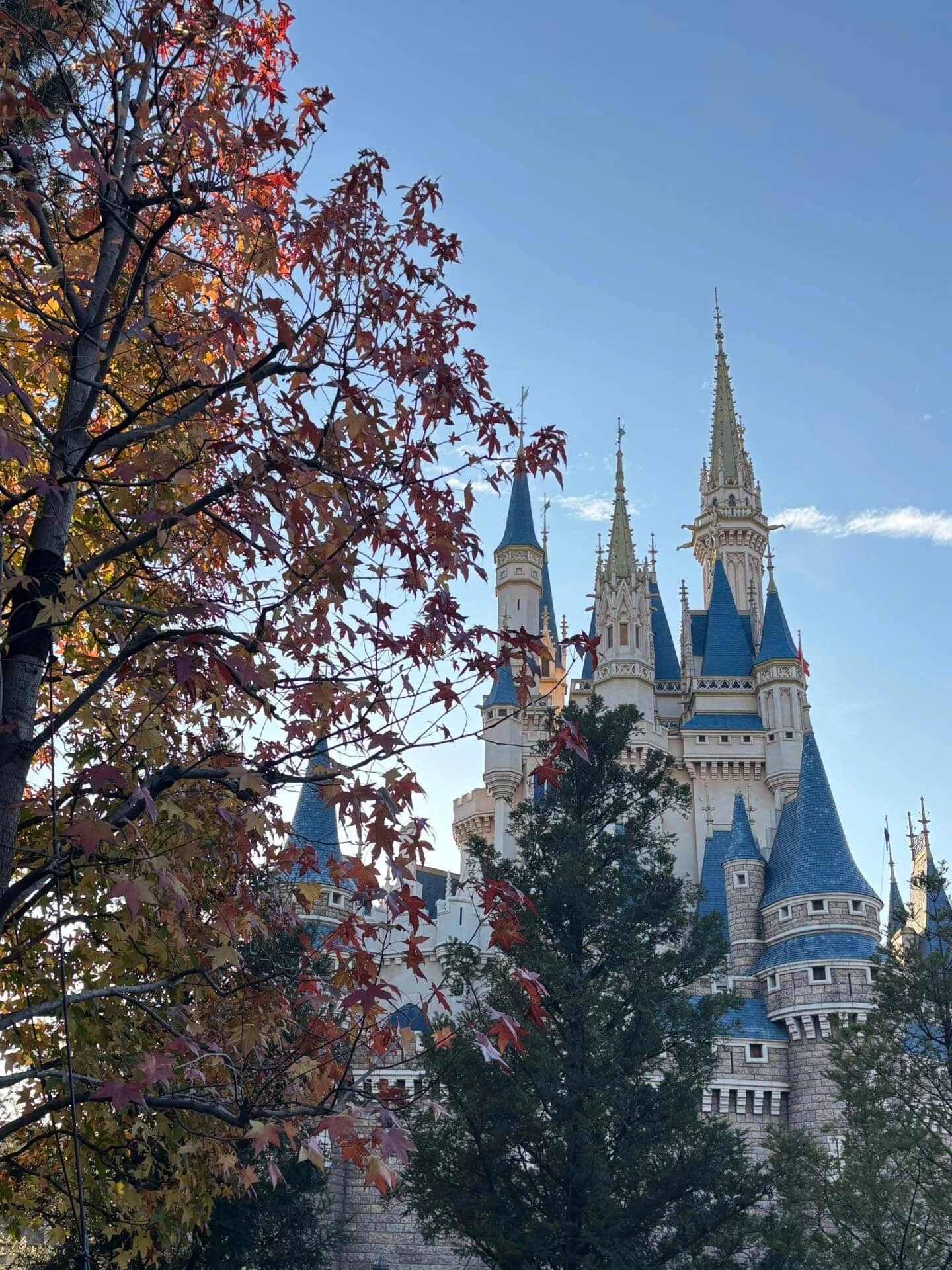 ディズニーランド