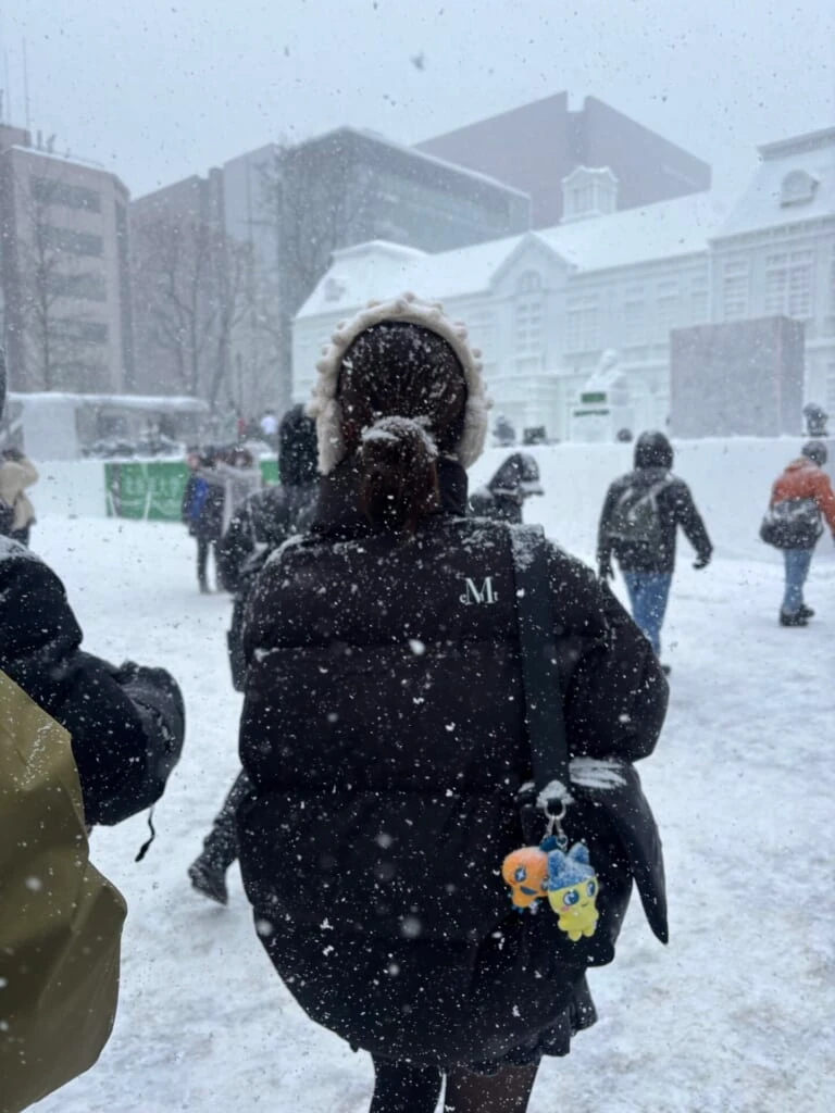 雪が降る様子