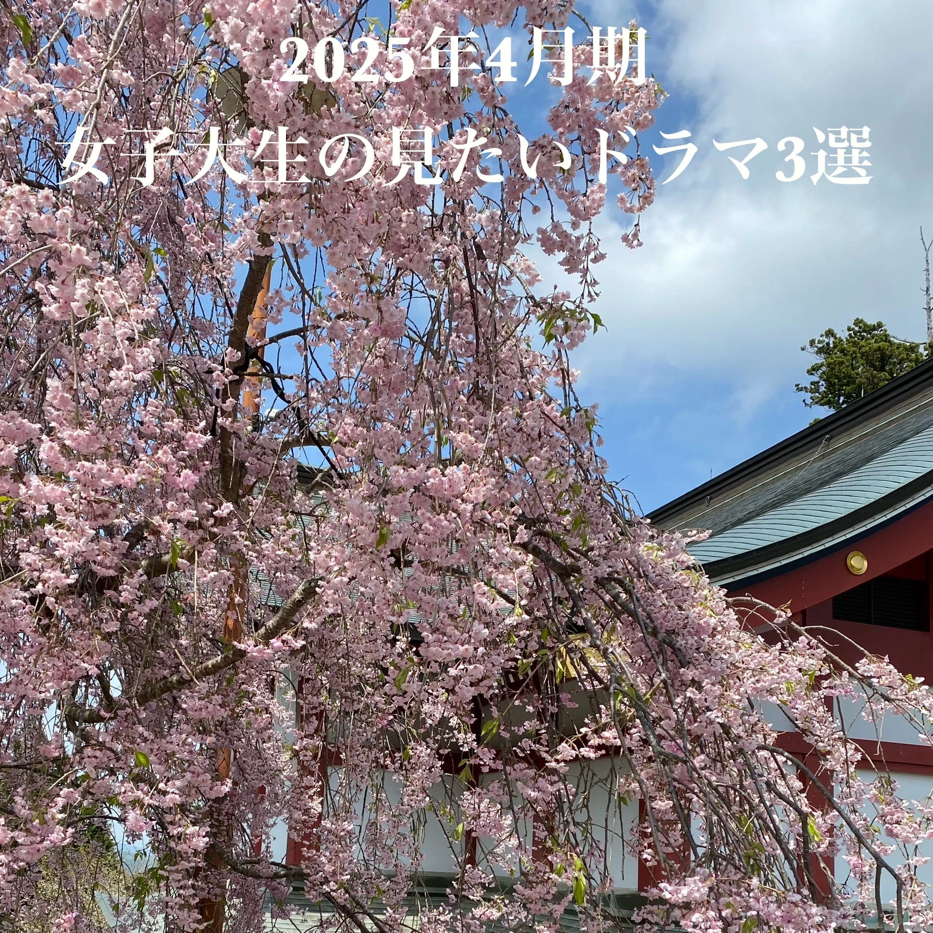 【4月ドラマ】女子大生が見たい2025春ドラマ3選！