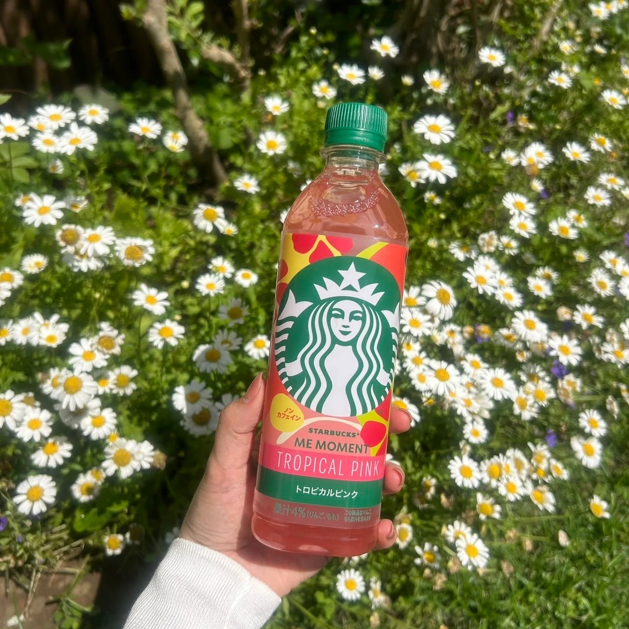  スターバックス® ME MOMENT™ トロピカルピンク™の写真