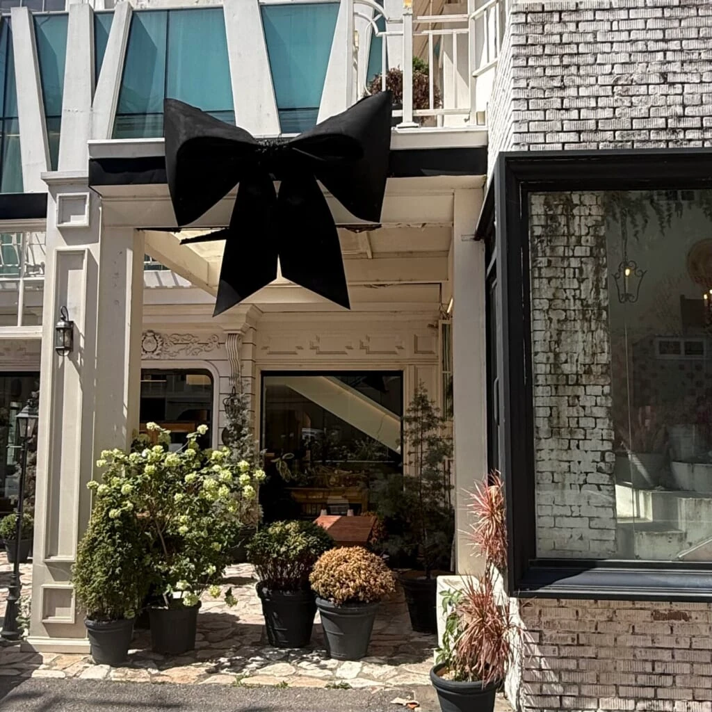 Panier de M. Mooni 写真
