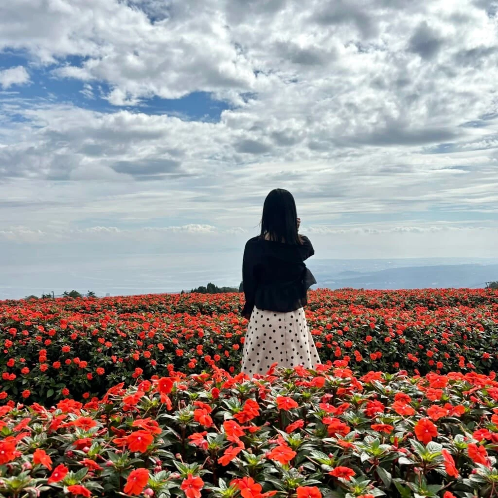 滋賀県の琵琶湖テラスにあるフォトスポット