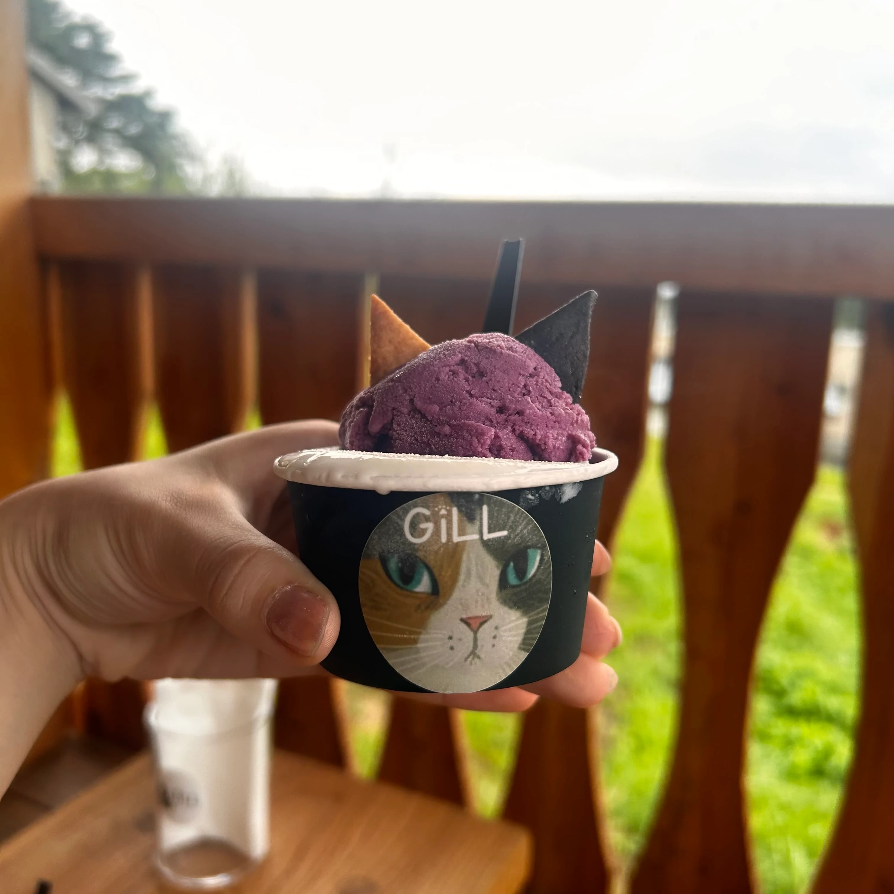 ジェラート③