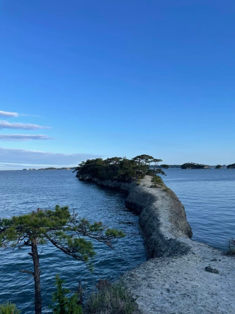 馬の背　仙台　利府