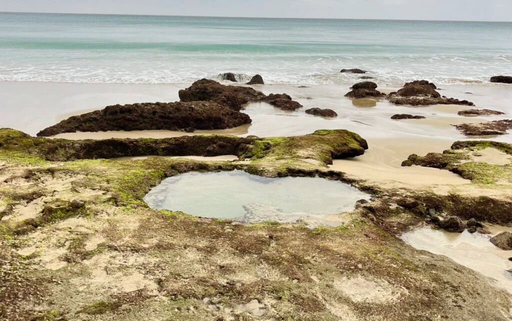 奄美大島 ハートロック
