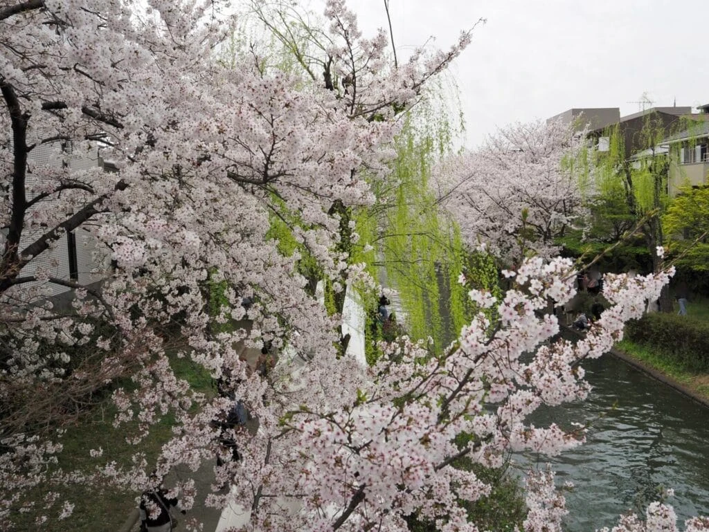 伏見 京橋から見える景色