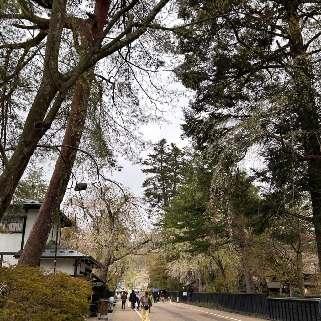 角館武家屋敷