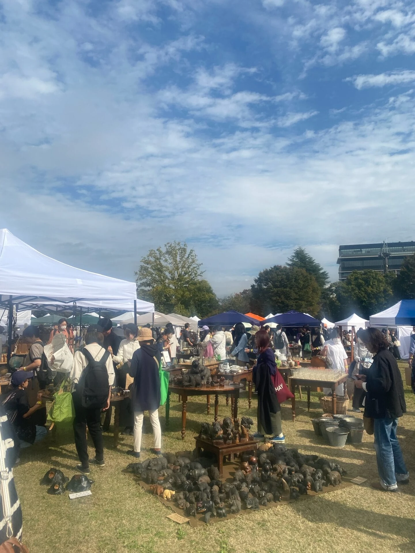 「東京蚤の市'24 AUTUMN」の様子(2024年11月1日)