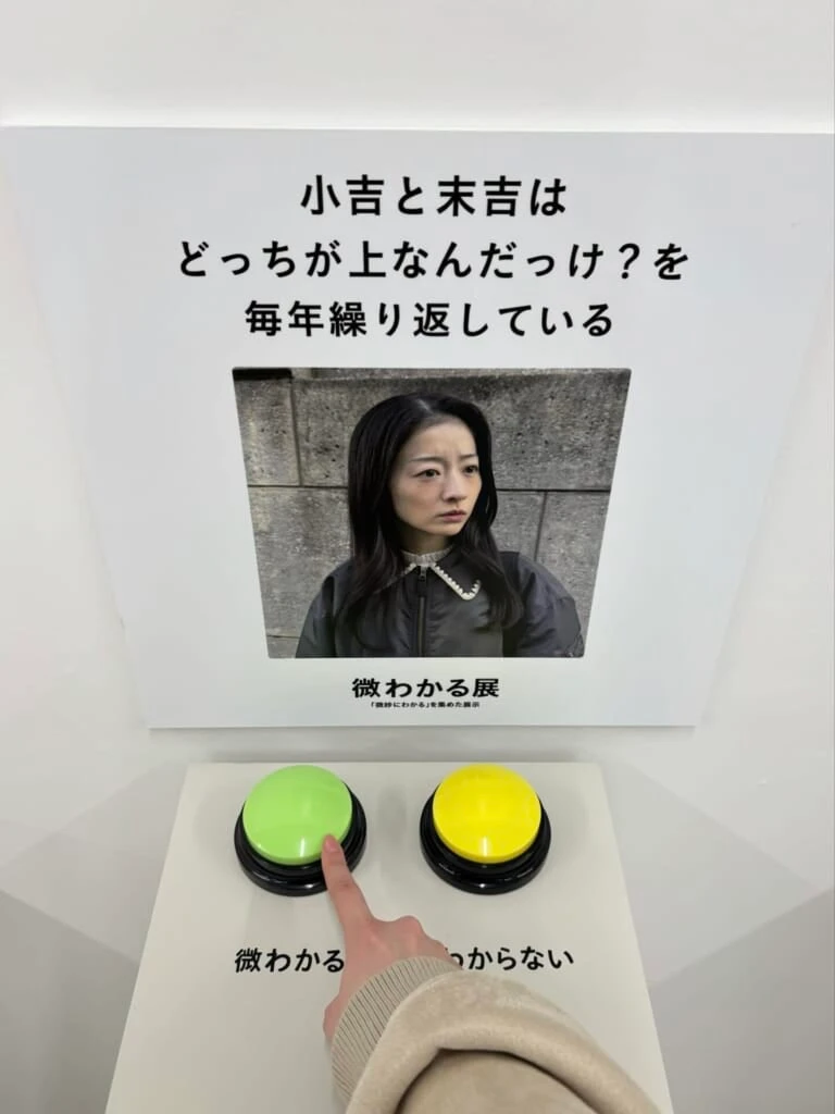 「微わかる」「微わからない」を選択するボタン