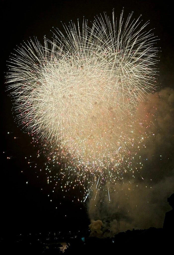 第50回 江戸川区花火大会の花火打ち上げの様子