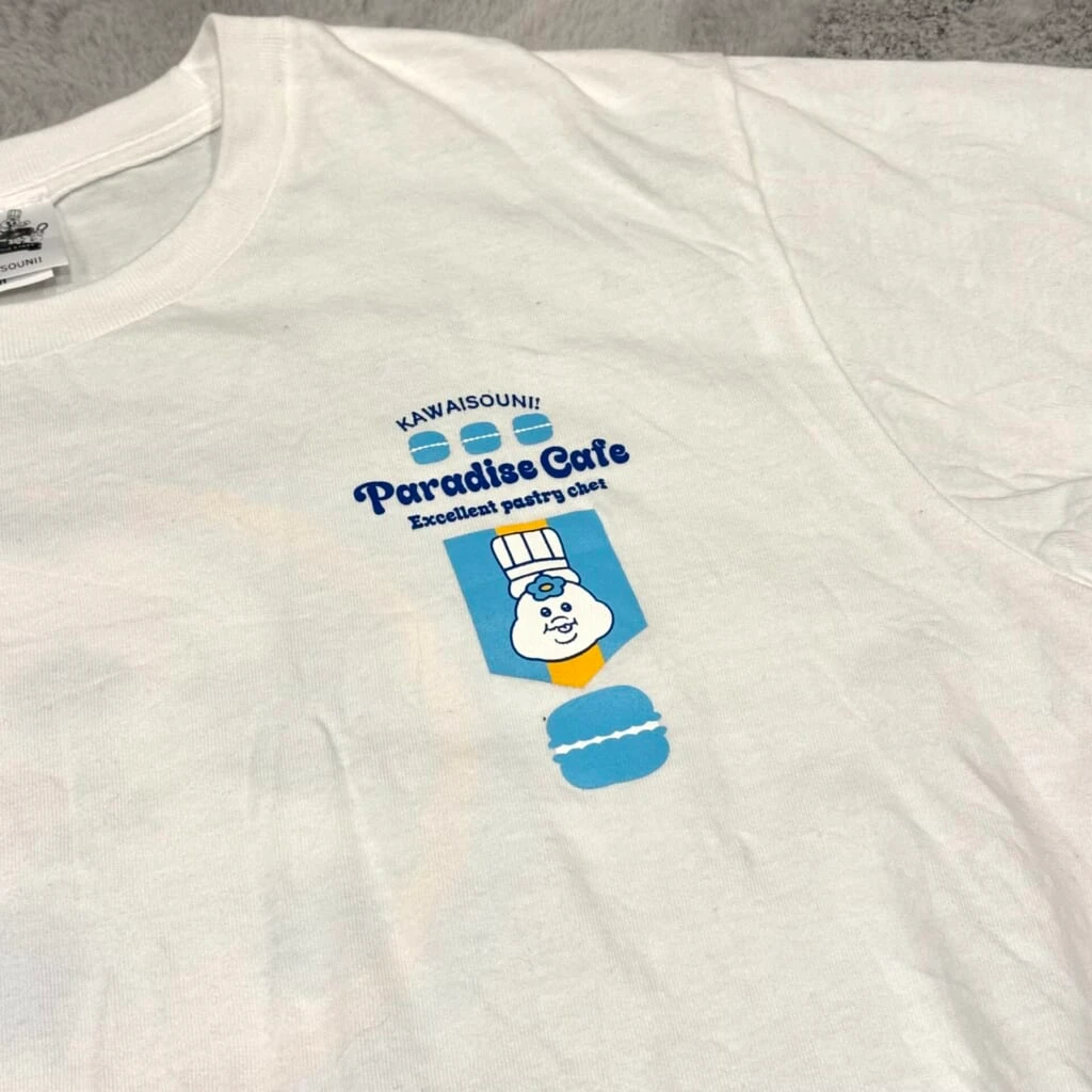 んぽちゃむTシャツ表面