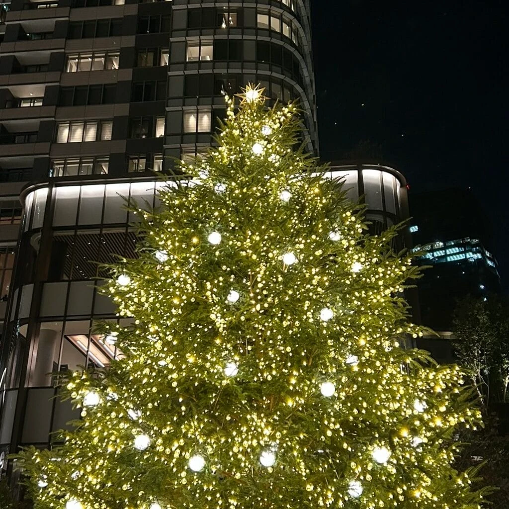 麻布台ヒルズクリスマスマーケット2024 クリスマスツリー