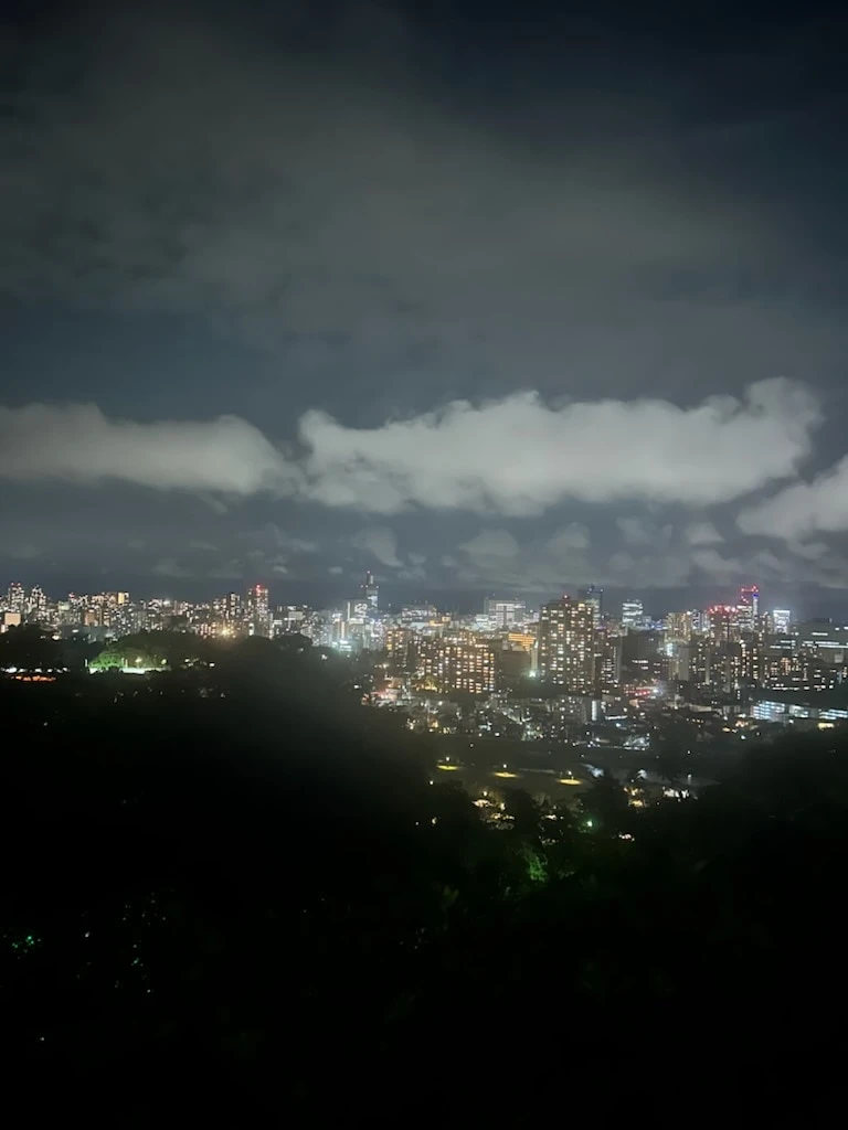 仙台城跡からの夜景