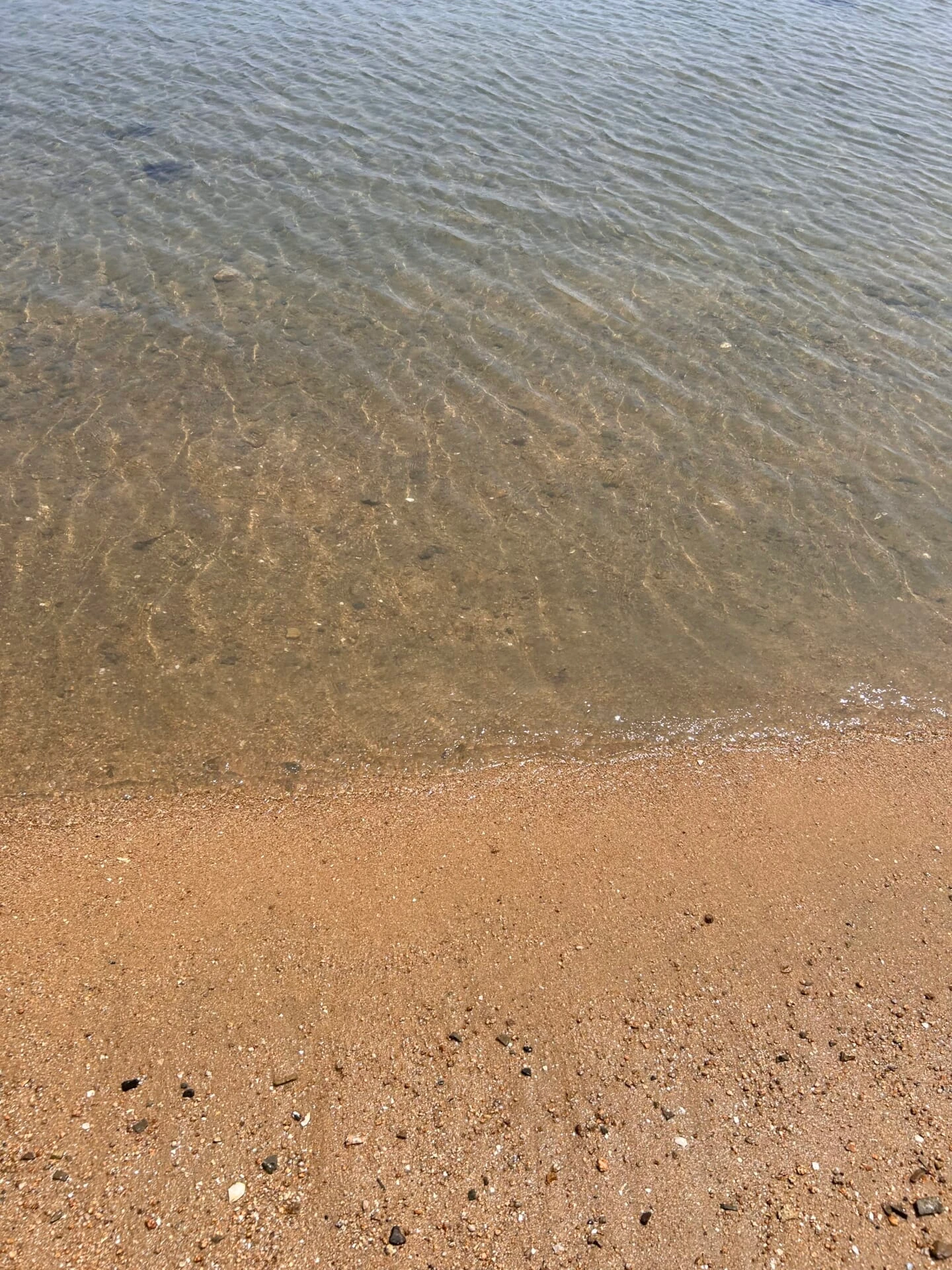 透き通った海