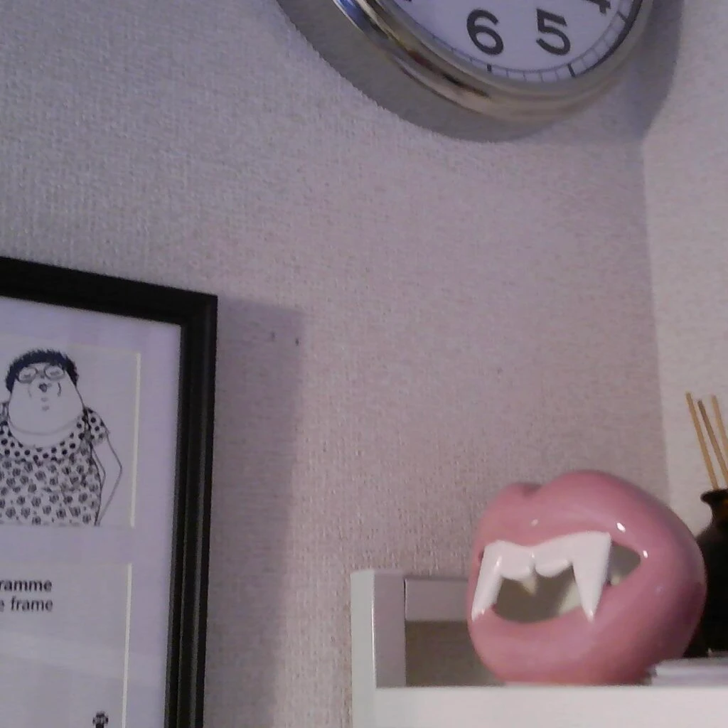 解像度低めの写真