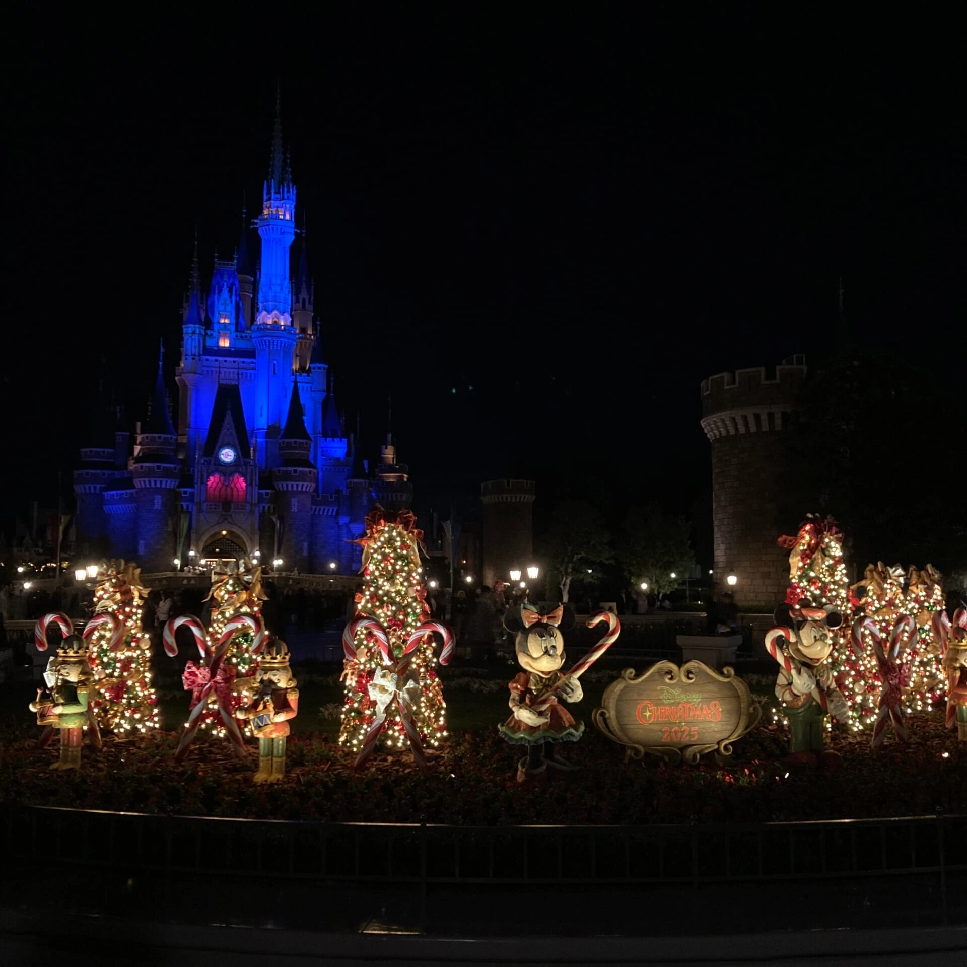 夜のディズニー・クリスマスデコレーションとシンデレラ城