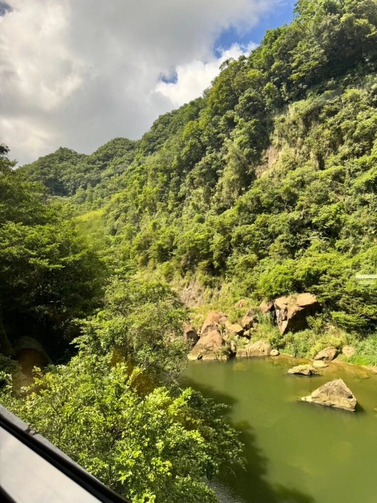 台湾　十分　車窓　自然　緑　渓谷