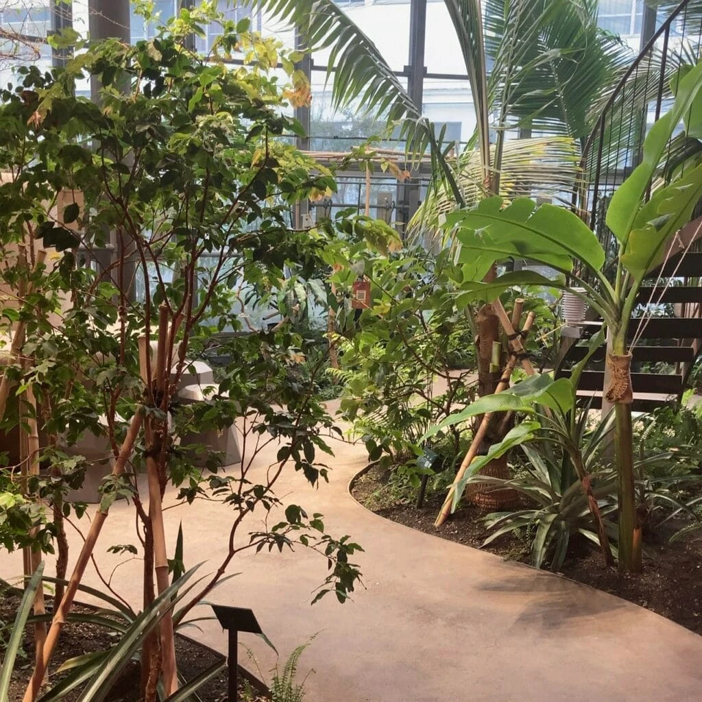 渋谷区ふれあい植物センター内の写真です。