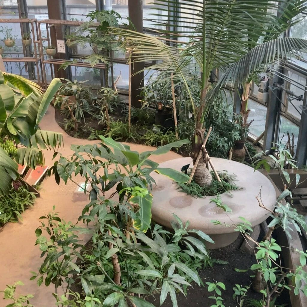 渋谷区ふれあい植物センター内の写真です。