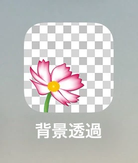 背景透過アプリの画像。花が描いてある。