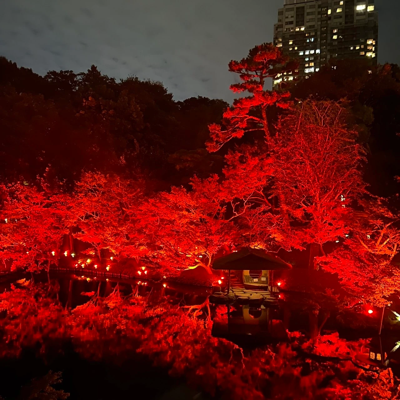 八芳園「TOKYO RED GARDEN FESTIVAL」の紅葉の様子