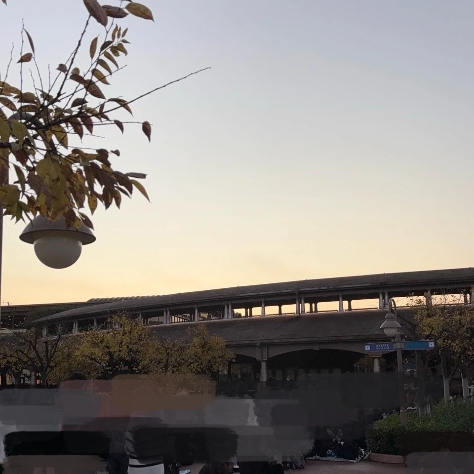クリスマスディズニー シー 入園前待機列