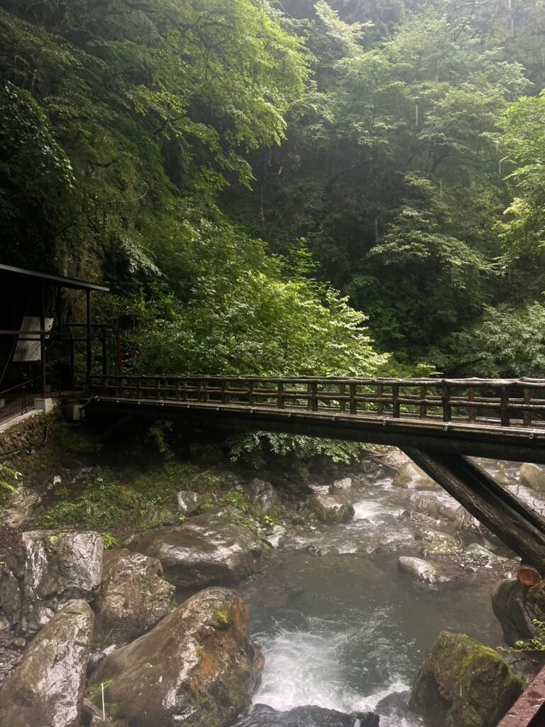 奥多摩の自然　日原鍾乳洞入口