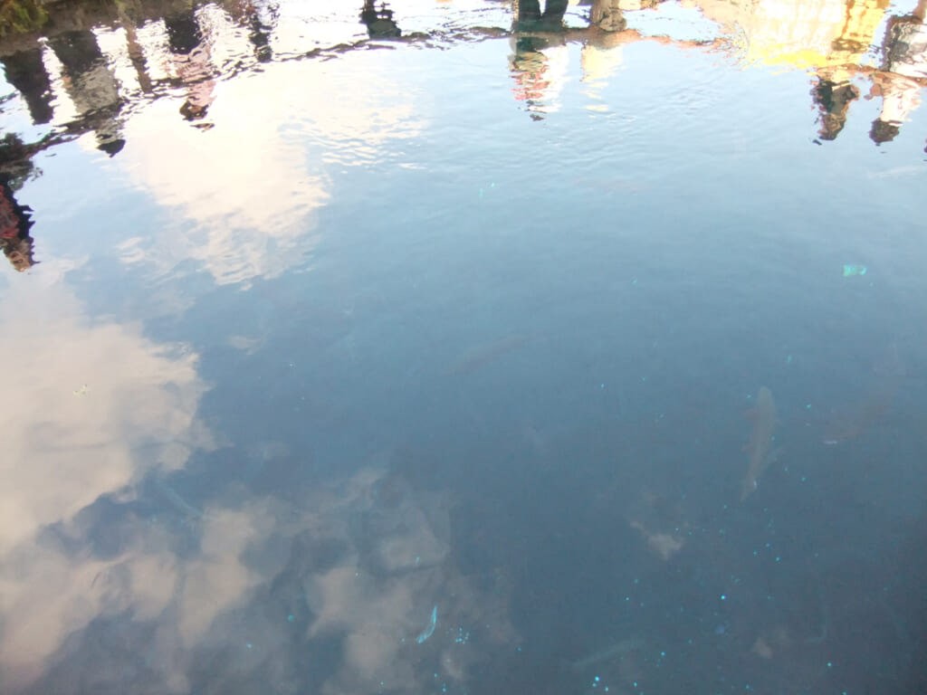 水面