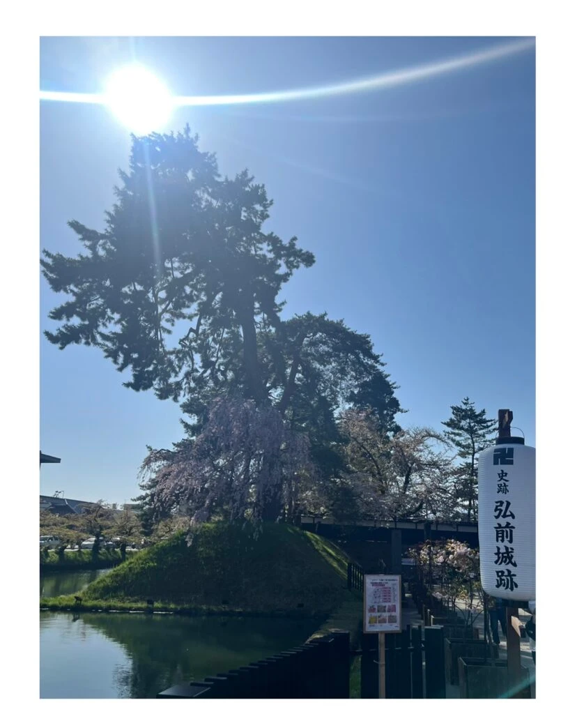 弘前城入り口