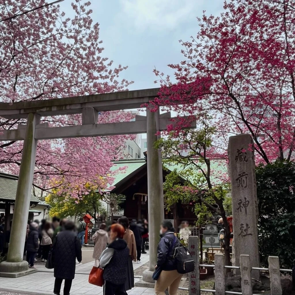 蔵前神社 鳥居