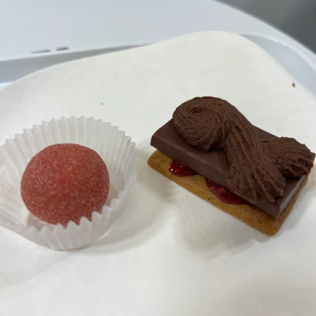 ほろりガナッシュ〈桜薫りいちご〉 マダガスカルカカオのテリーヌサンド サロン・デュ・ショコラ 東京