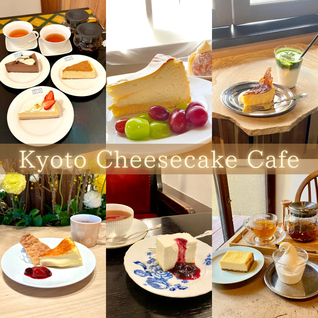 京都 チーズケーキ カフェ おすすめ
