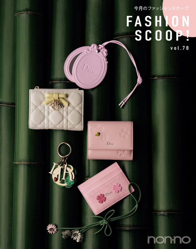 Diorのスモールレザーグッズとチャームのコレクション